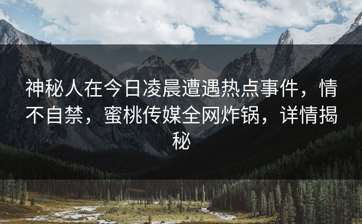 神秘人在今日凌晨遭遇热点事件，情不自禁，蜜桃传媒全网炸锅，详情揭秘