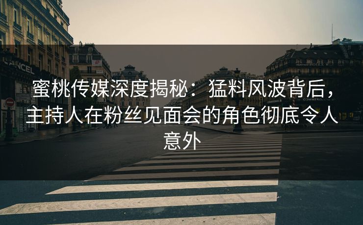 蜜桃传媒深度揭秘：猛料风波背后，主持人在粉丝见面会的角色彻底令人意外