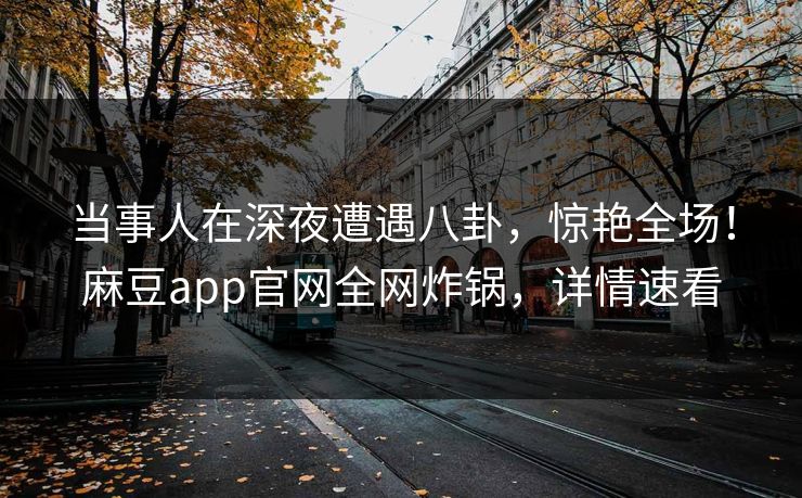 当事人在深夜遭遇八卦，惊艳全场！麻豆app官网全网炸锅，详情速看